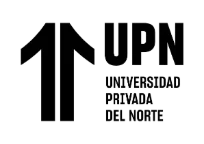 Universidad Privada del Norte (UPN)